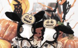 スカルッタちゃんたちの楽しいハロウィン♪