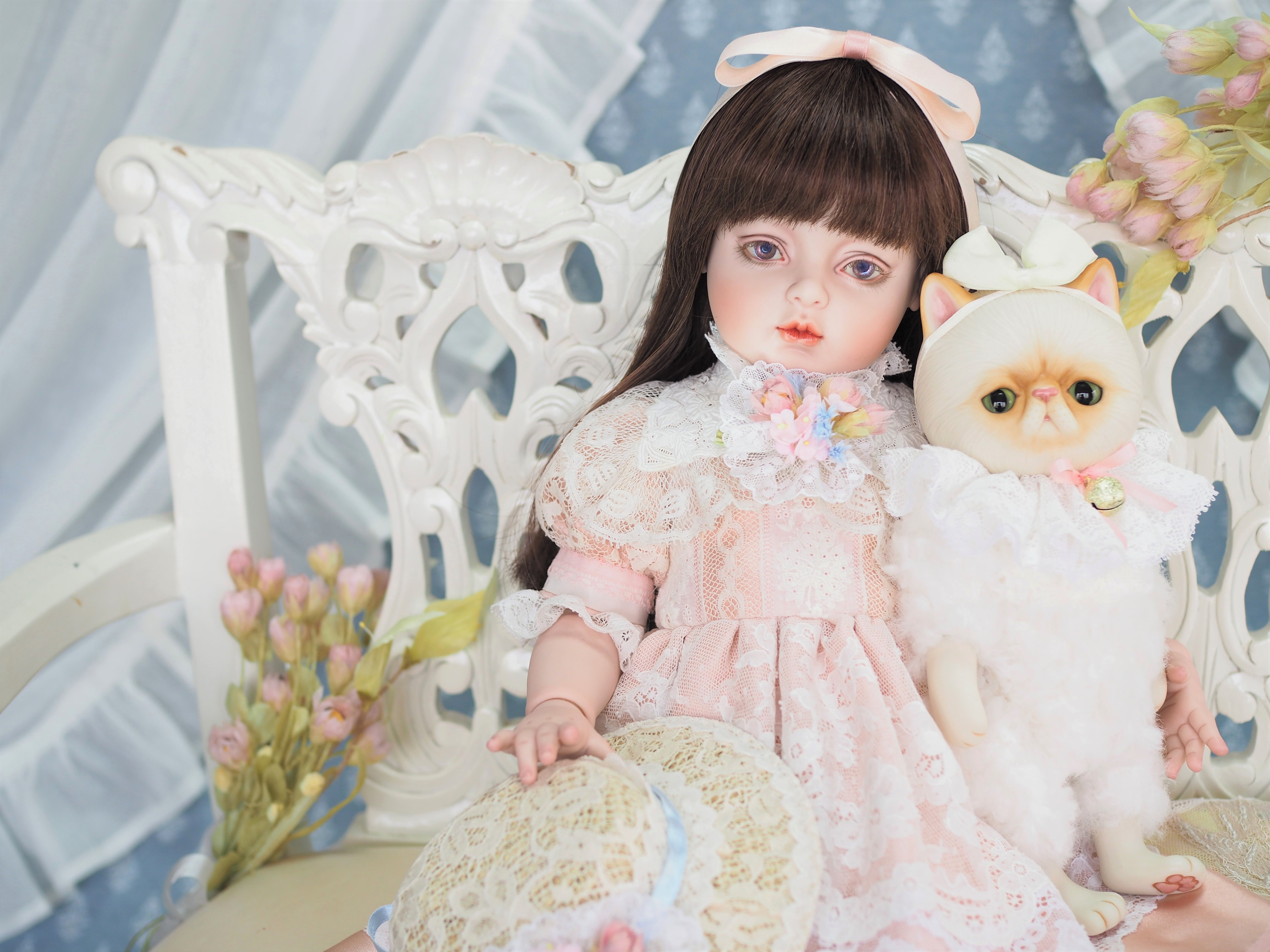 Header Banner Image