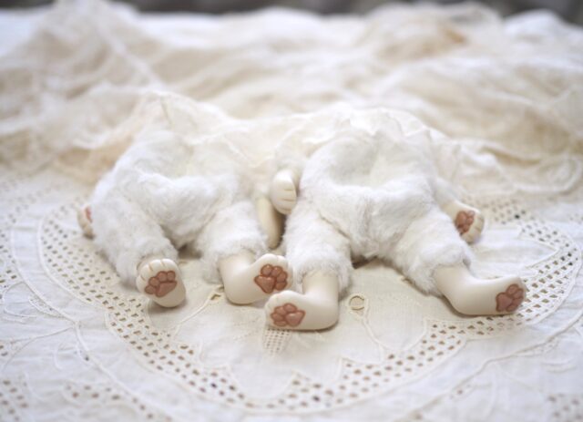 .
ねこちゃんたち制作中...

#ネコちゃんドール
#猫#白猫#catdoll
#bisquedoll#dolls#dollmaking
#Uncreerアンクレール